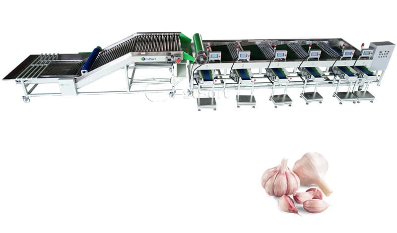 images/1679901345202garlic sorting machine.jpg